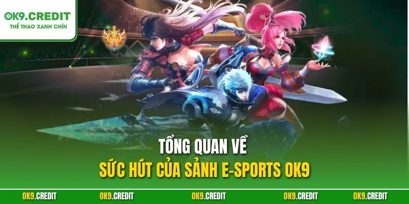 Sảnh E-Sports OK9 – Đỉnh Cao Cá Cược Với Kèo Siêu Chất 2 Tổng quan về sức hút của Sảnh E-Sports OK9